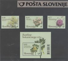 Rastlinstvo VII – rastline Botaničnega vrta