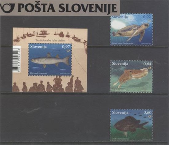 Živalstvo VI – slovensko morje