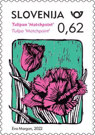 Rastlinstvo - potonikasti tulipan