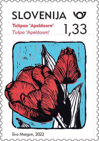 Rastlinstvo - rdeči tulipan