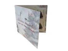 Picture of New Year C – New Year's Fir booklet