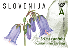 Rastlinstvo - brkata zvončnica