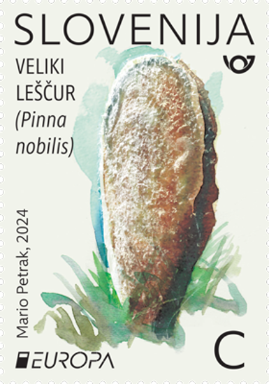EUROPA - PODVODNA FAVNA IN FLORA: veliki leščur - C