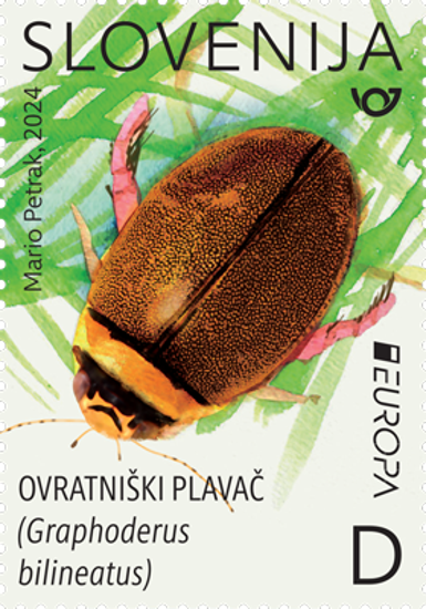 EUROPA - PODVODNA FAVNA IN FLORA: ovratniški plavač