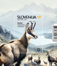 Živalstvo - Gams - D - blok